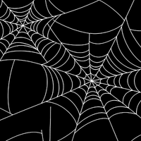 Spider Web