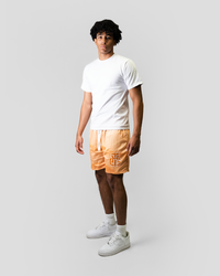 OCEAN AND DESERT SHORTS