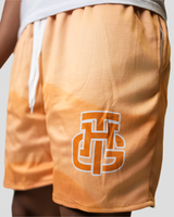 OCEAN AND DESERT SHORTS