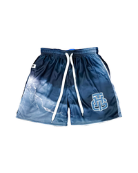 CALM AND STORM SHORTS