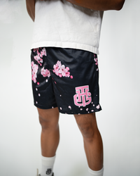 CHERRY BLOSSOM SHORTS