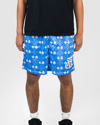 CHARM BLUE SHORTS