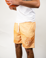 OCEAN AND DESERT SHORTS