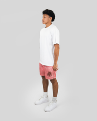 MOCHA AND PINK SHORTS