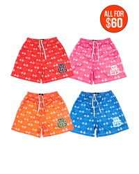 SPRING CHARM SHORTS COLLECTION BUNDLE